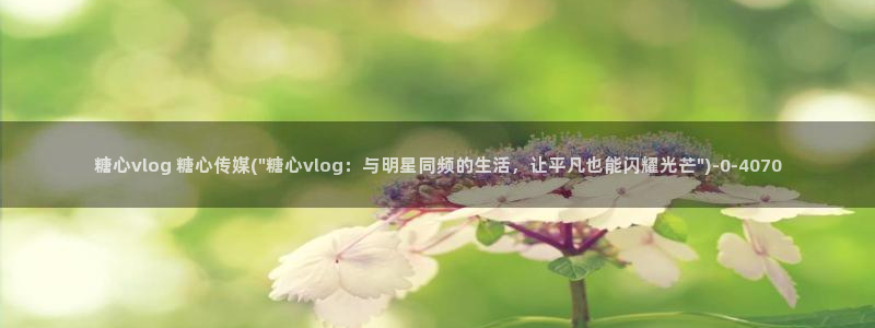 糖心vlog诈骗:糖心vlog 糖心传媒