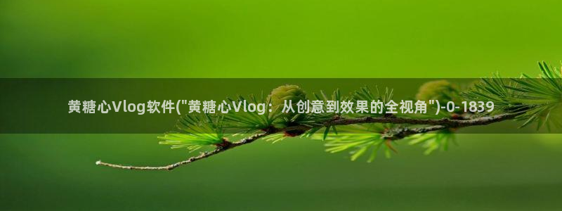 #NAME?:黄糖心Vlog软件(\